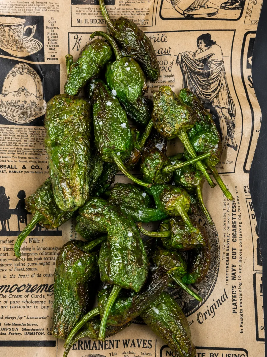 Padrón Peppers